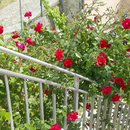 Apartament Corfu Rainbow Vátos